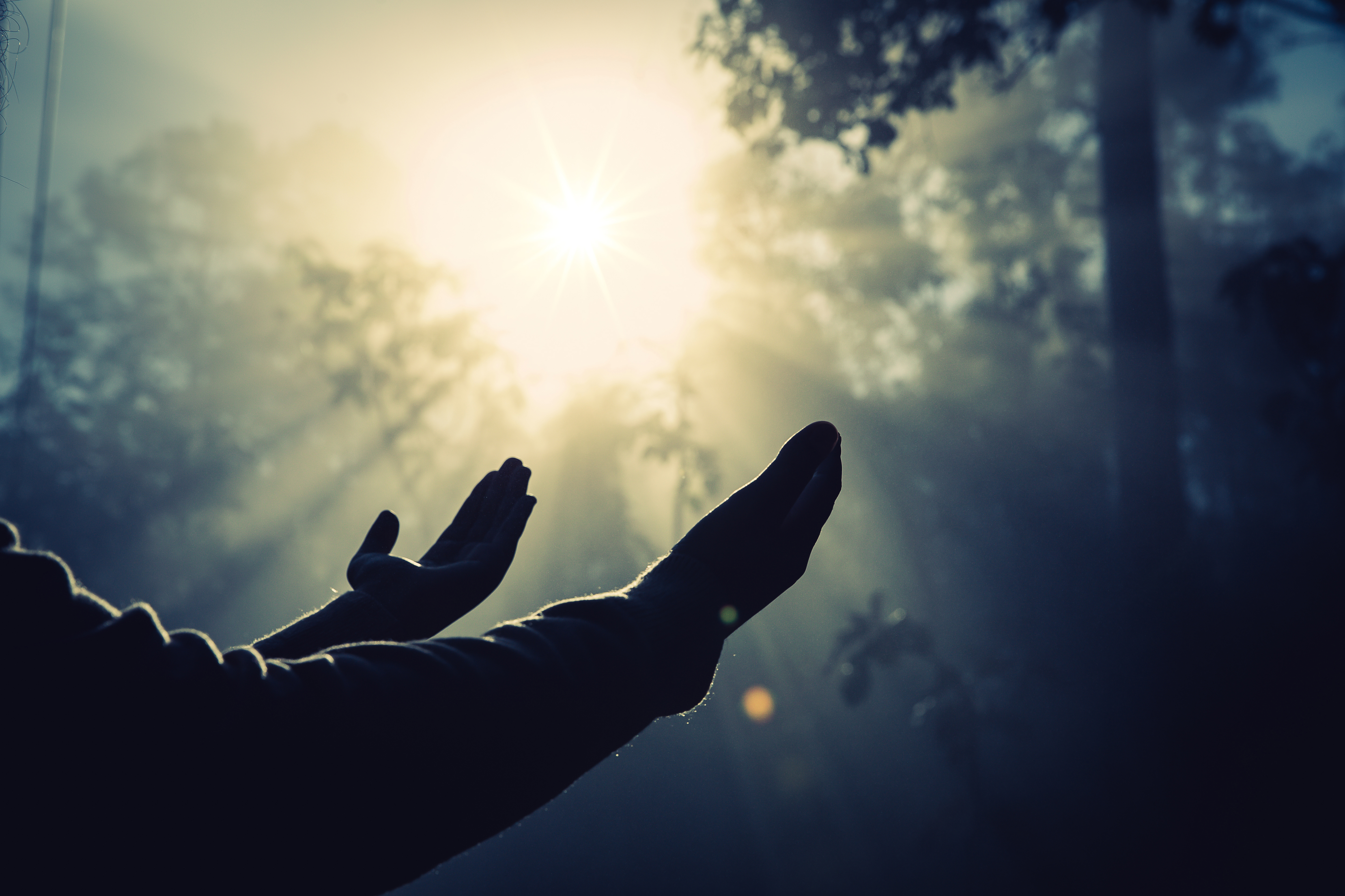 Teenage girl with praying in sunny nature. Young girl meditate in the green forest with sun lights background.